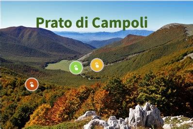 Il Parco Forestale Nazionale di Maolan: Una fuga nella natura incontaminata e un rifugio per gli amanti della fauna selvatica!