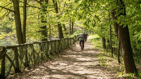 Il Parco Forestale Nazionale di Maolan: Una fuga nella natura incontaminata e un rifugio per gli amanti della fauna selvatica!